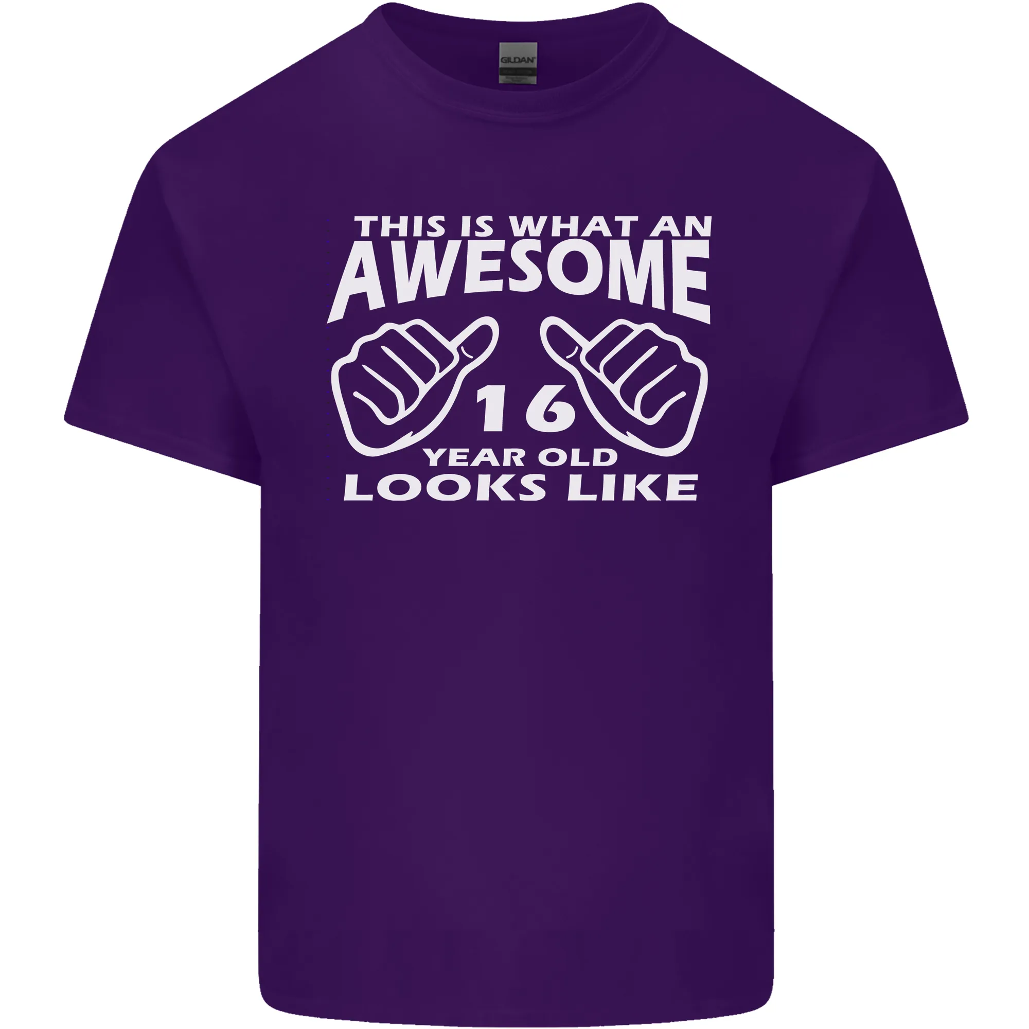 16th Birthday 16 Year Old This Is What Mens Light Cotton T-Shirt