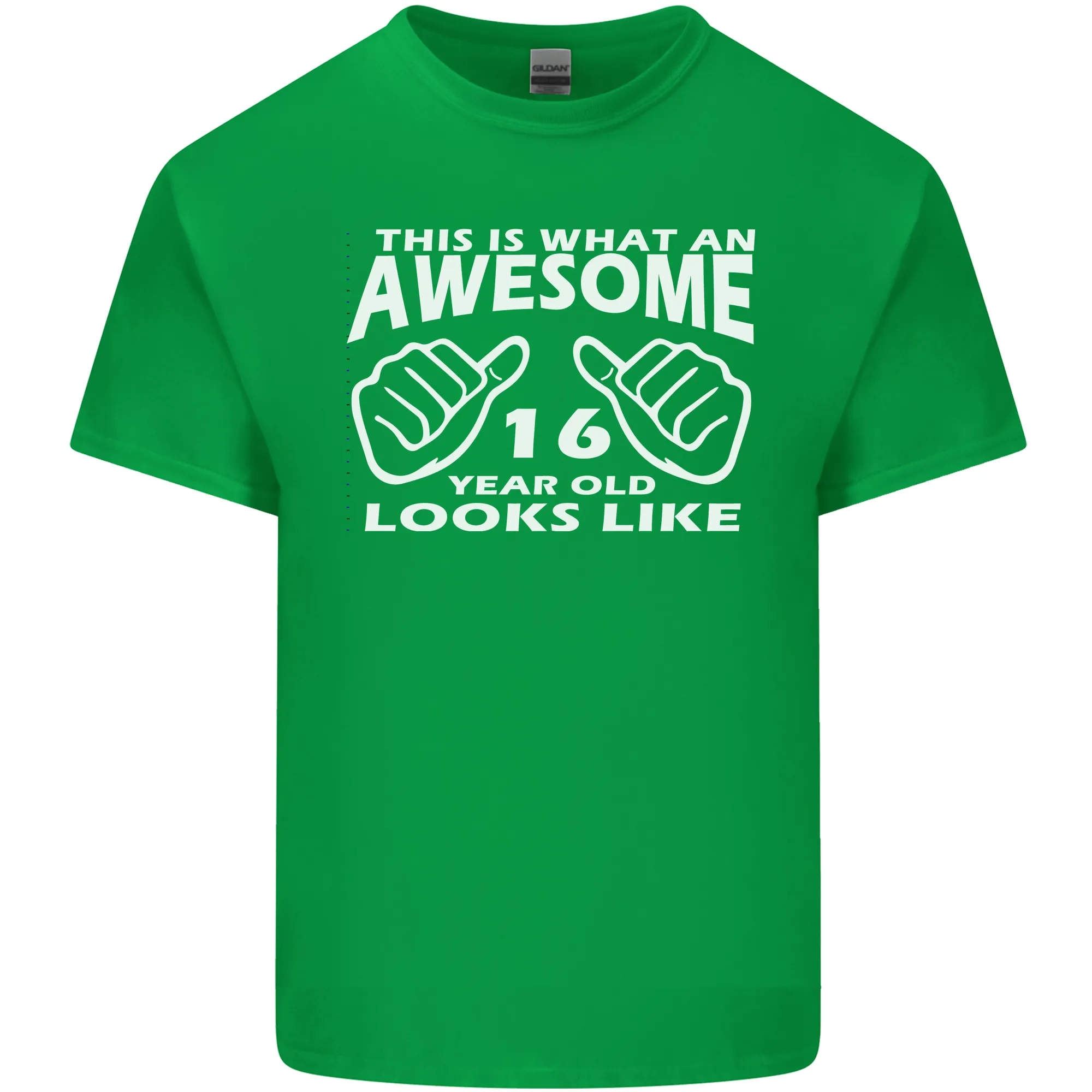 16th Birthday 16 Year Old This Is What Mens Light Cotton T-Shirt