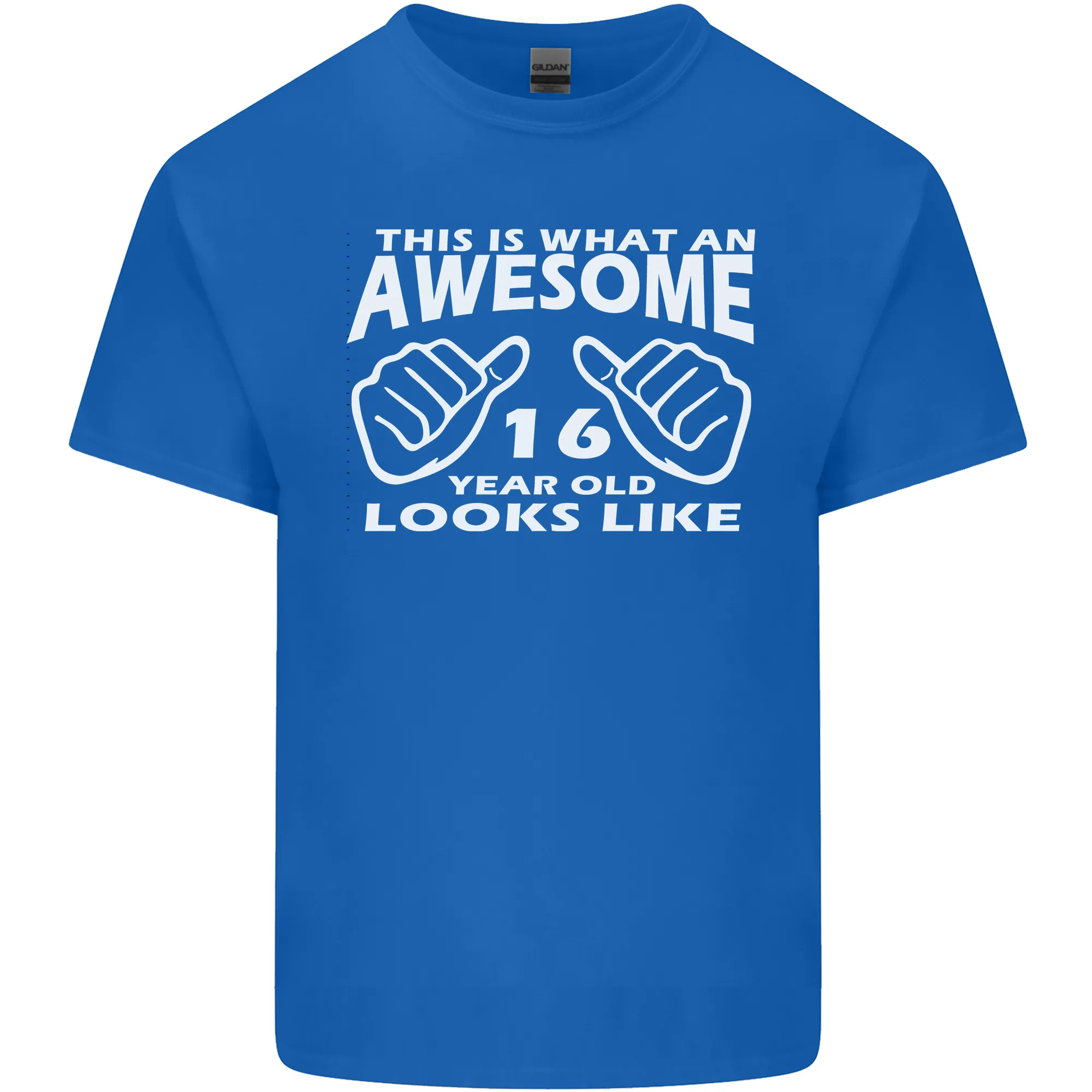 16th Birthday 16 Year Old This Is What Mens Light Cotton T-Shirt