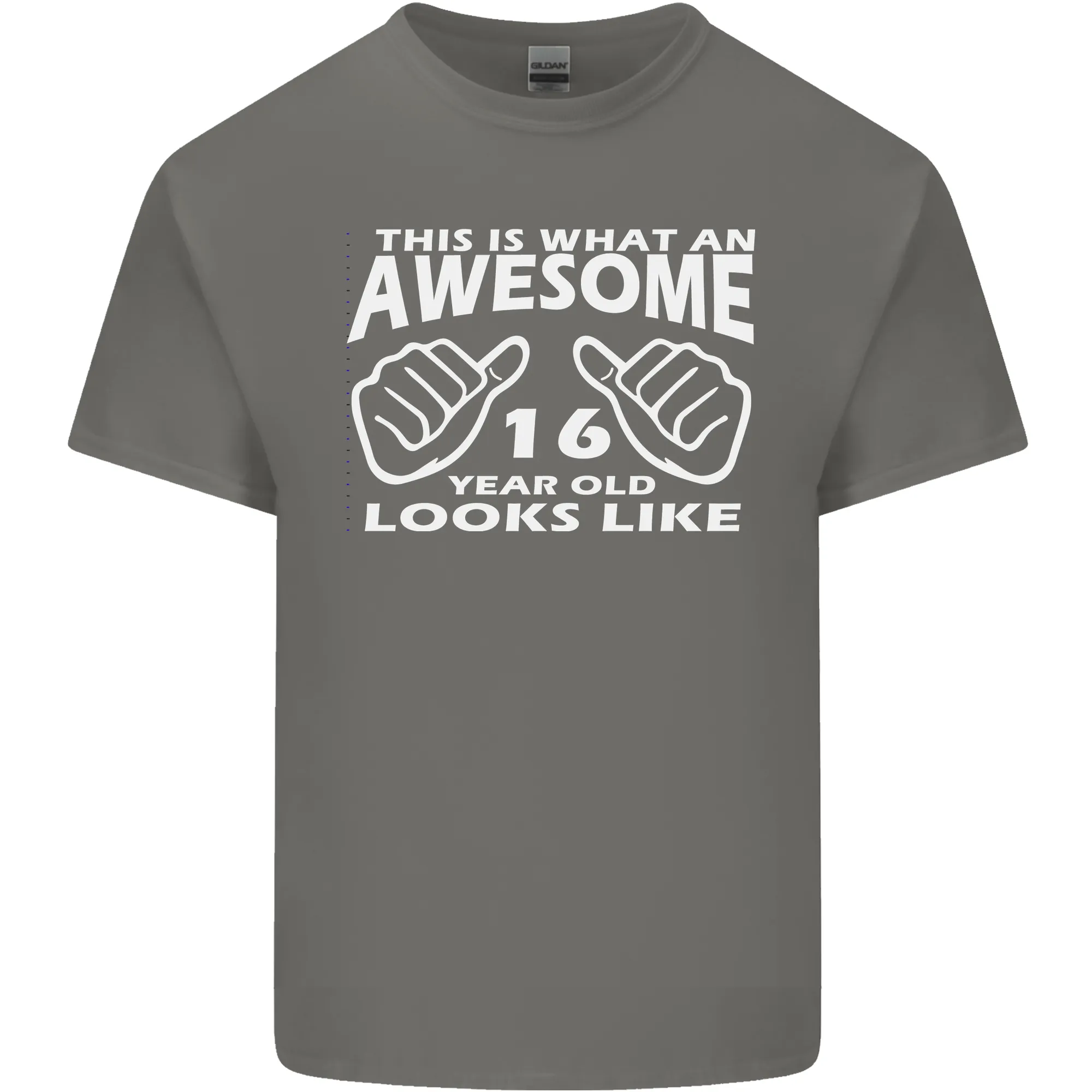 16th Birthday 16 Year Old This Is What Mens Light Cotton T-Shirt