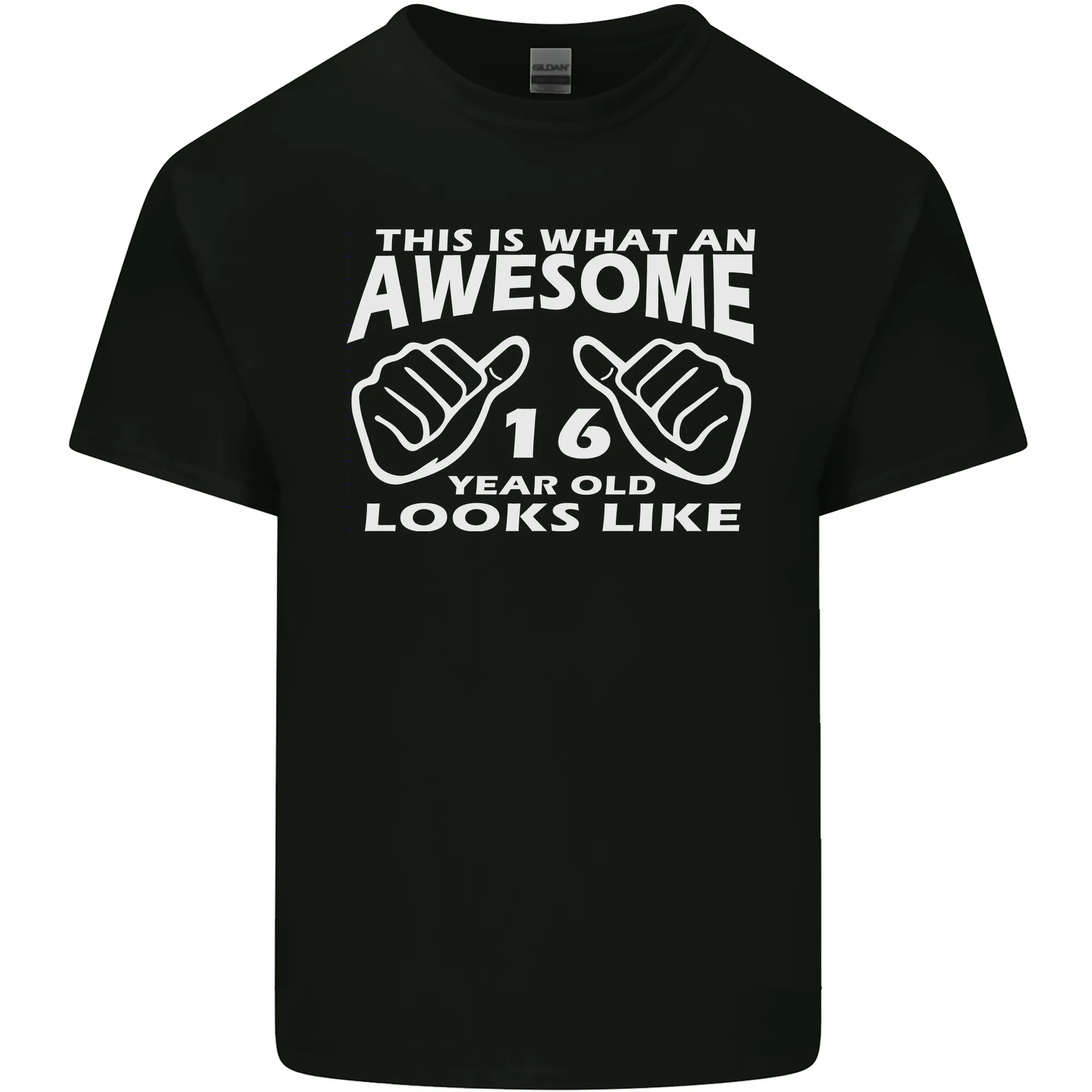 16th Birthday 16 Year Old This Is What Mens Light Cotton T-Shirt
