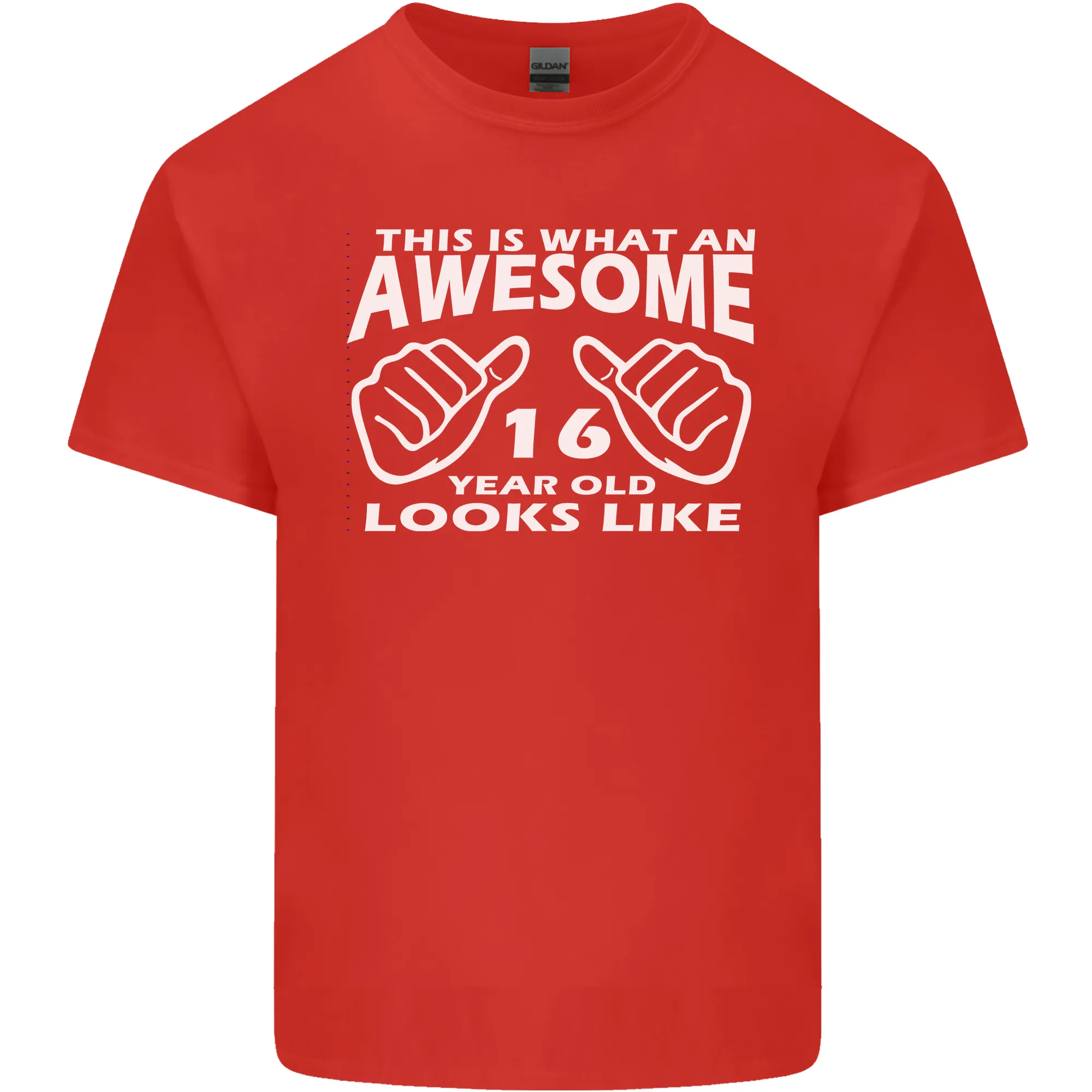 16th Birthday 16 Year Old This Is What Mens Light Cotton T-Shirt