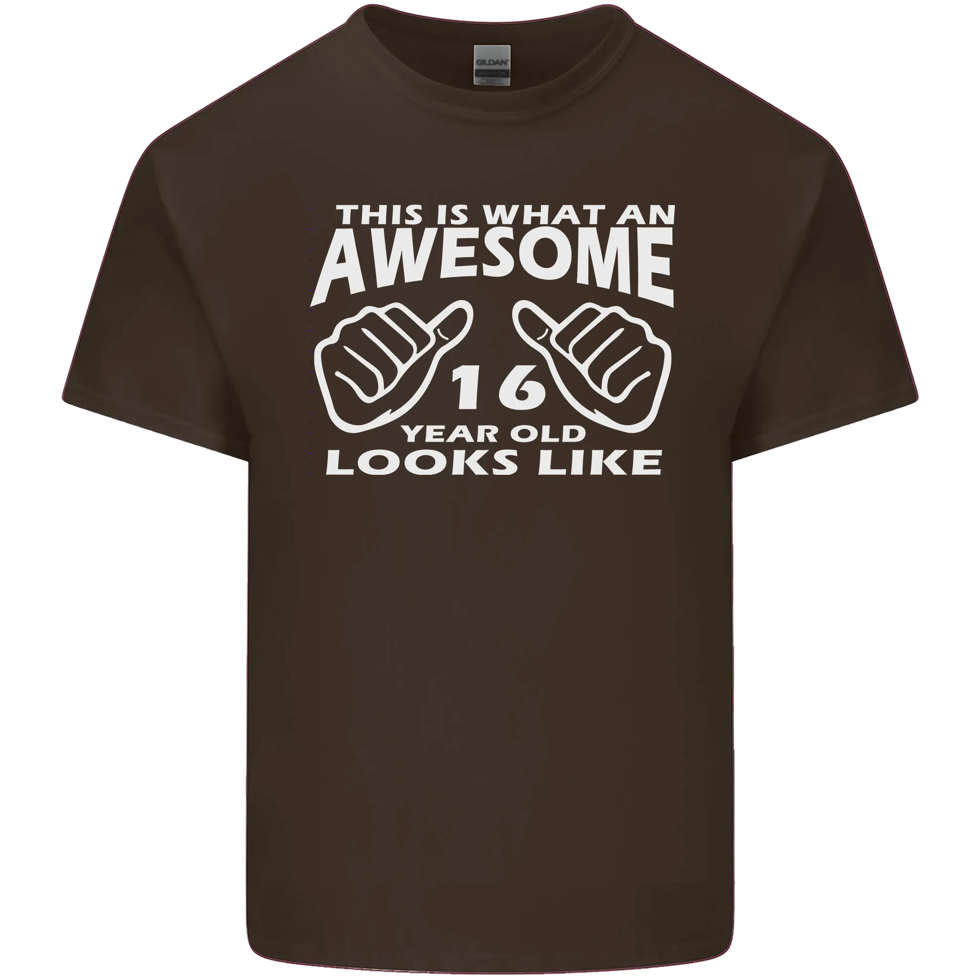 16th Birthday 16 Year Old This Is What Mens Light Cotton T-Shirt