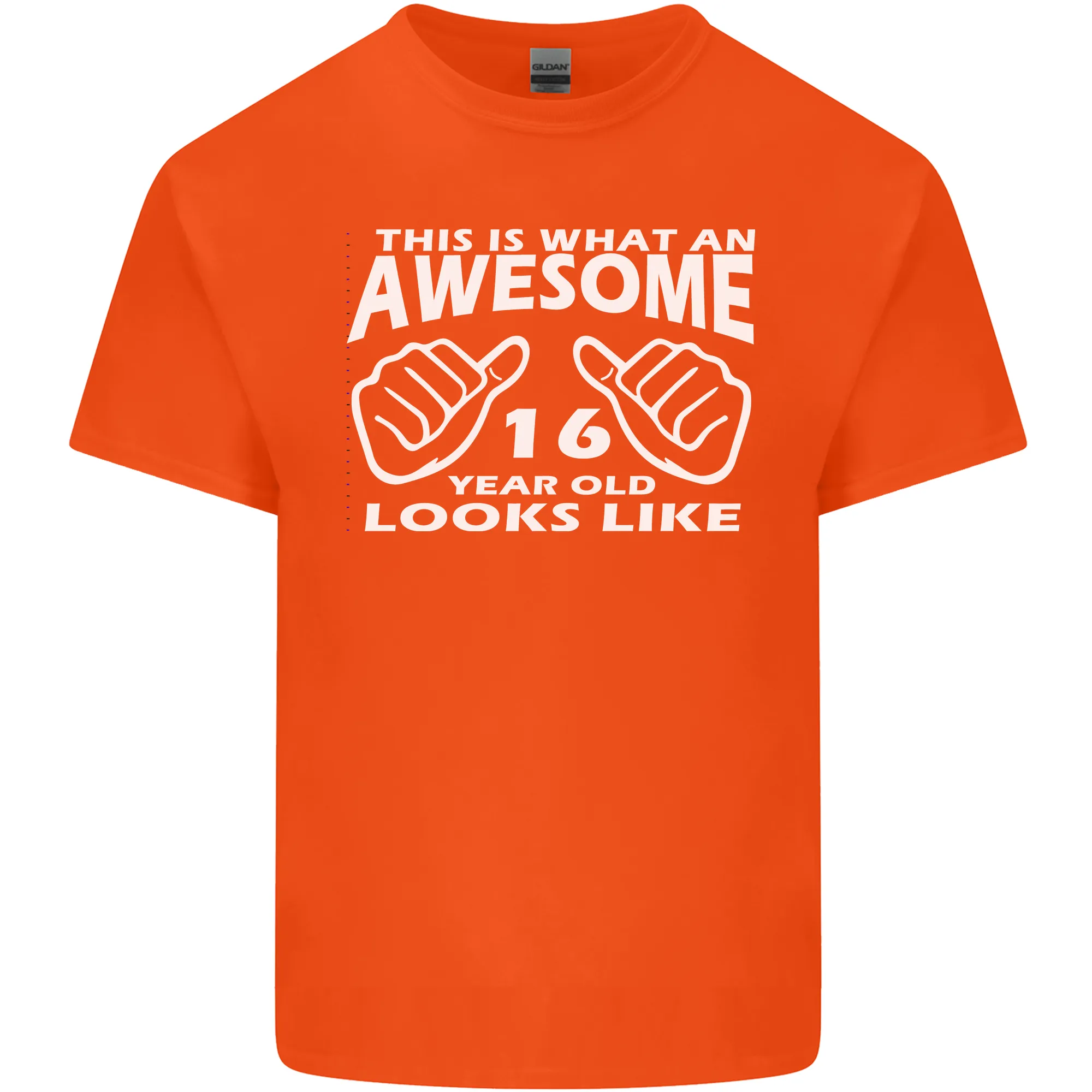 16th Birthday 16 Year Old This Is What Mens Light Cotton T-Shirt