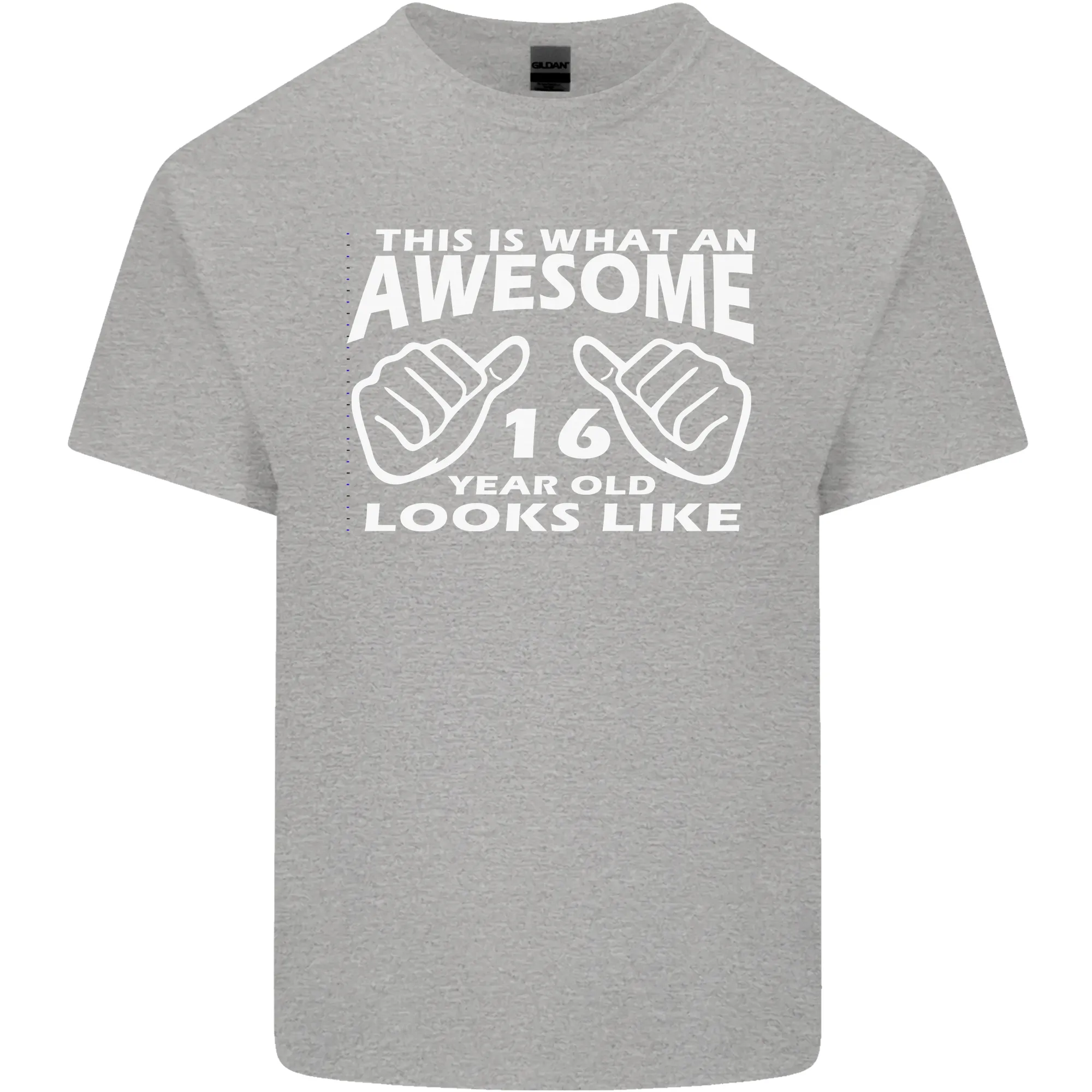 16th Birthday 16 Year Old This Is What Mens Light Cotton T-Shirt