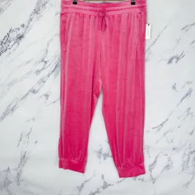 Anthropologie | Saturday/Sunday | Merida Velvet Joggers