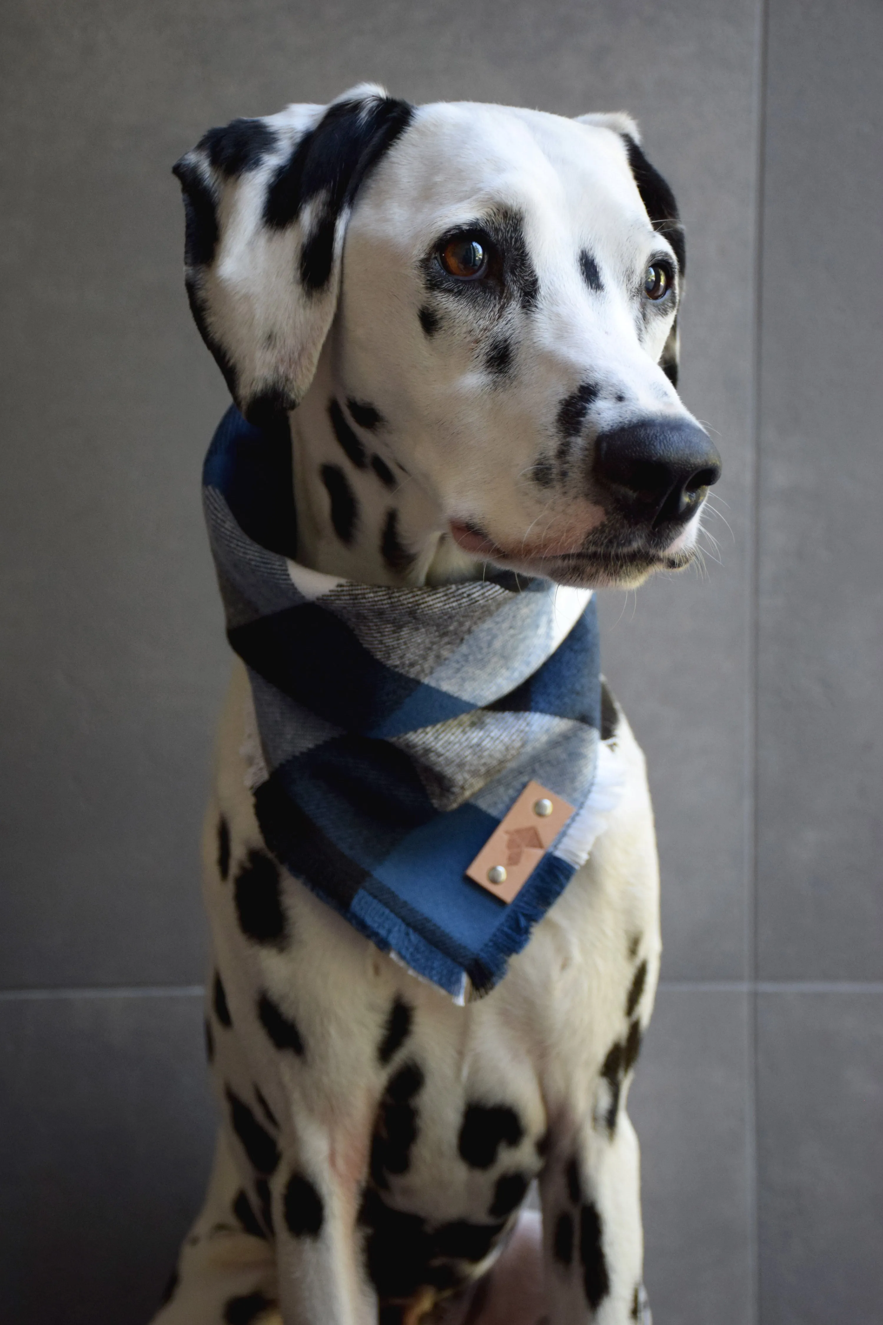 PACIFIC Fringed Flannel Dog Bandana - Snap/Tie On Cotton Scarf