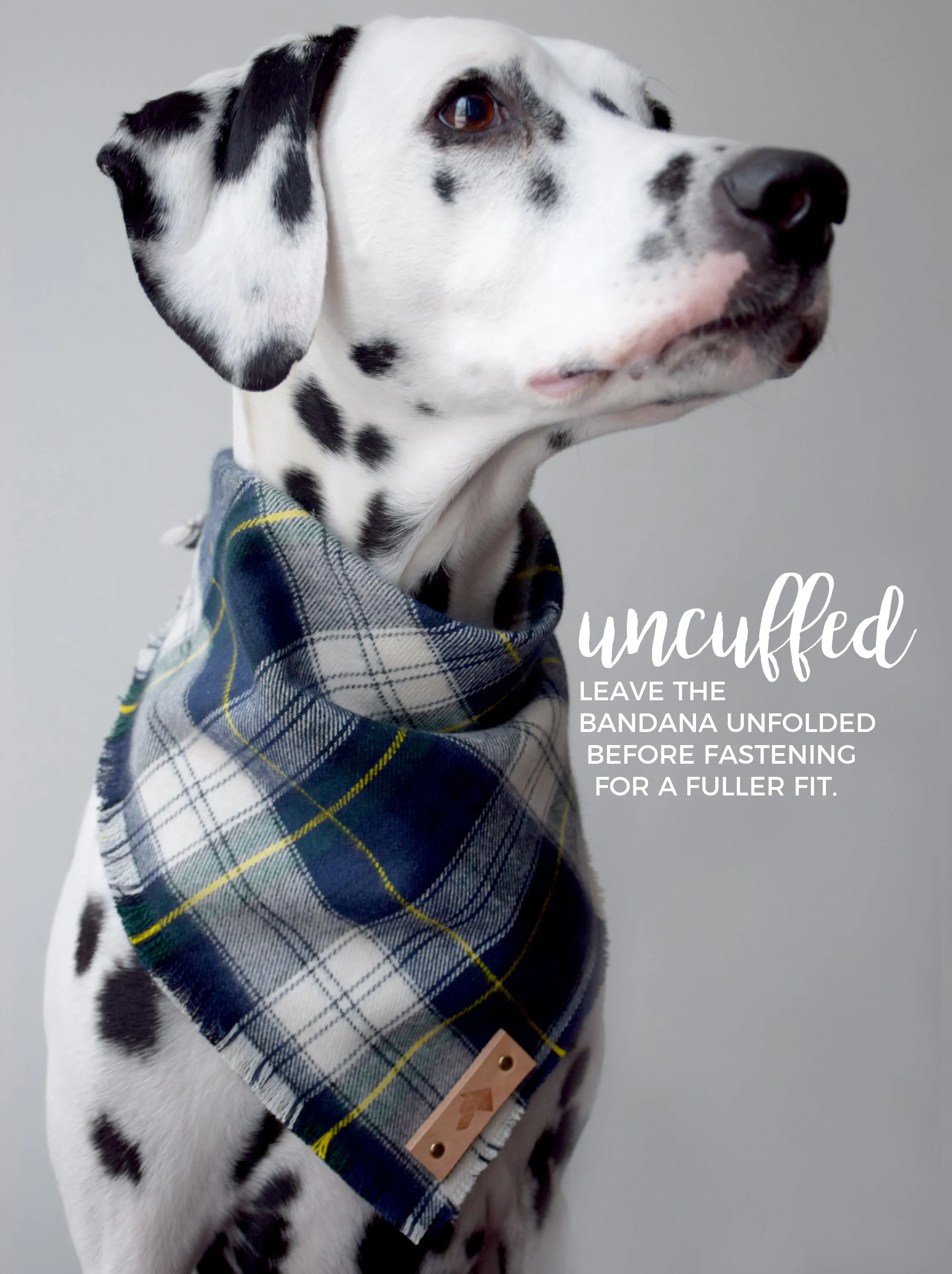 PACIFIC Fringed Flannel Dog Bandana - Snap/Tie On Cotton Scarf